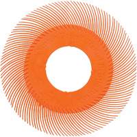 Scotch-Brite Type C Precision Radial Bristle Brush PN-RB without Adapter, Ceramic, 80+ Grit, 6" Dia. Fastek