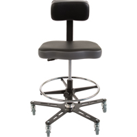 Chaise ergonomique industrielle TF160<sup>MC</sup>, Mobile, Ajustable, 20-1/2" - 28-1/2", Vinyle Siège, Noir/gris OP491 | Fastek