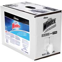 Nettoyant pour vitres Windex avec Ammoniac-D, 5 gal., Sac Fastek