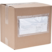 Packing List Envelopes, 4" L x 5" W, Endloading Style PB438 | Fastek