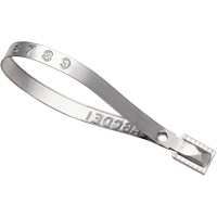 Scell&eacute;s Guard Lock, 8-3/8", M&eacute;tal, Scell&eacute; pour camion Fastek