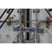 Scell&eacute;s de haute s&eacute;curit&eacute;, 12", M&eacute;tal, Scell&eacute; &agrave; c&acirc;ble Fastek