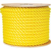 5/8" Braided Yellow Rope, Polypropylene, 200' Fastek