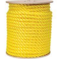 Braided Yellow Rope, Polypropylene, 300' Fastek