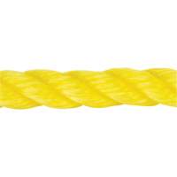 Braided Yellow Rope, Polypropylene, 144' Fastek