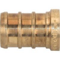 Lead-Free Pipe Plug, Pipe, 1/2" Dia., Brass Fastek