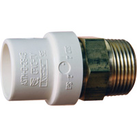 Threaded Pipe Adapter, Hub x MPT, 1" Dia., Brass/CPVC Fastek