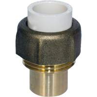 Pipe Union, 1/2", CPVC, Hub x Sweat Fastek