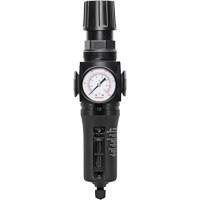 Manual Drain Filter/Regulator with Metal Bowl Modulair 300, 1/4" NPT, 250 PSI, 5.1 fl. oz. Capacity Fastek