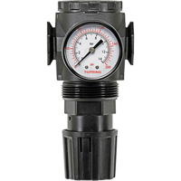 Regulator with Gauge Modulair 300, 1/4" NPT, 300 psi Max. PSI, In Line/Modular Fastek