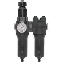 Manual Drain Filter, Regulator & Coalescing Filter with Metal Bowl Modulair 400, 1/4" NPT, 200 psi, 9.1 fl. oz. Capacity Fastek