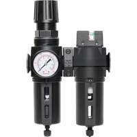 Filter/Regulator & Coalescing Filter Modulair 300 with Standard Bowl & Manual Drain, 3/8" NPTF, 150 PSI, 5.12 fl. oz. Capacity Fastek