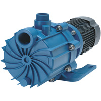 Self-Priming Magnetic Drive Pump with Carbon Bushing Fastek
