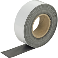 Write-On Magnetic Tags, Magnetic, 600" L x 2" W Fastek