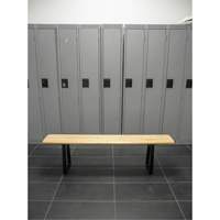 Locker Room Bench, Wood, 48" L x 9-1/4" W x 16-1/2" H RL871 | Fastek