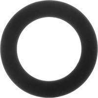 Replacement Gaskets for Inhalation Valves Fastek
