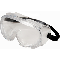 Encompass Safety Goggles, Clear Lens, Anti-Fog, Indirect Vent Fastek