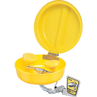 Eye/Face wash With Cover, Wall-Mount Installation, Plastic Bowl Fastek