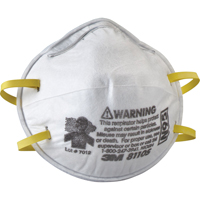 8110S Particulate Respirators, N95, NIOSH Certified, Small Fastek