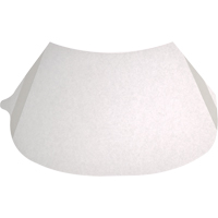 Protecteurs de lentille transparent d&eacute;collable Fastek