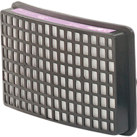 Speedglas Respiratory Protection-replacement Filters & Cartridges, P100 Filter, Pack of 2 Fastek