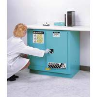 ChemCor&reg; Lined Acid/Corrosive Storage Cabinets, 22 gal., 35" x 35" x 22" Fastek