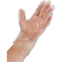 Disposable Gloves, Large, Polyethylene, 0.02-mil, Powder-Free, Clear Fastek