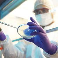 Gants d'examen Kimtech, T-petit, Nitrile, 6 mils, Sans poudre, Mauve, Classe 2 Fastek