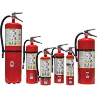 Fire Extinguisher, ABC, 30 lbs. Capacity SED110 | Fastek