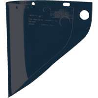 Faceshield Visors