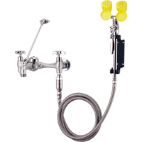 Faucet & Eyewash Station, Sink Mount Installation SAY103 | Fastek