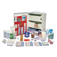 Workplace Deluxe First Aid Kits, Class 1 Medical Device, Metal Box Fastek