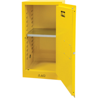 Flammable Storage Cabinet, 16 gal., 1 Door, 23" W x 44" H x 18" D Fastek