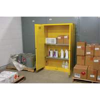 Armoire pour produits inflammables, 45 gal., 2 Porte(s), 43" La x 65" h x 18" p Fastek