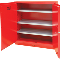 Paint/Ink Cabinet, 45 gal., 3 Shelves Fastek
