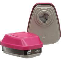 6000 Series Respirator Cartridges, Gas/Vapour Cartridge, Organic Vapour/P100 Fastek