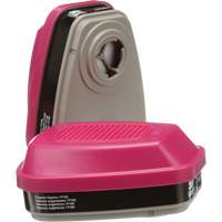 6000 Series Respirator Cartridges, Gas/Vapour Cartridge, Organic Vapour/P100 Fastek