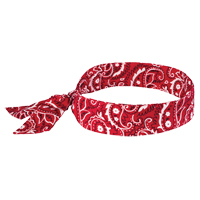 Chill-Its&reg; 6700 Cooling Bandanas, Red Fastek