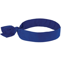 Chill-its&reg; 6700 Cooling Bandanas, Blue Fastek