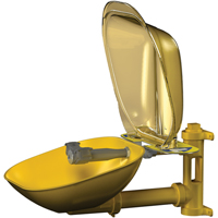 Halo Eyewash Stations, Wall-Mount Installation, Plastic Bowl Fastek