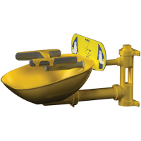 Halo Face/Eyewash Stations, Wall-Mount Installation, Plastic Bowl Fastek