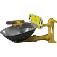 Halo Face/Eyewash Stations, Wall-Mount Installation, Stainless Steel Bowl Fastek