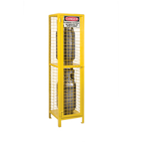 Gas Cylinder Cabinets, 2 Cylinder Capacity, 17" W x 17" D x 69" H, Yellow SEB838 | Fastek