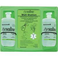 Saline Eyewash Wall Station, Double Fastek