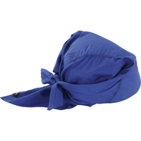 Chill-Its&reg; 6710CT Cooling Triangle Hats, Blue Fastek