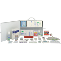 Office Standard Kit, Class 1 Medical Device, Metal Box Fastek