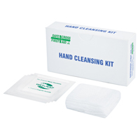 Hand Cleansing Kit, Towelette Fastek