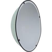 360° Dome Mirror, Full Dome, Open Top, 47" Diameter SEJ878 | Fastek