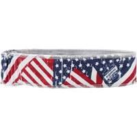 Bandana rafraîchissant Chill-Its 6605, Multicolore Fastek