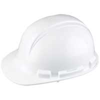 Dynamic Whistler Hardhat, CSA Type 1, Pinlock Suspension Fastek